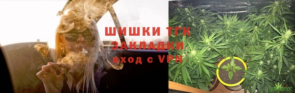ГАЛЛЮЦИНОГЕННЫЕ ГРИБЫ Балахна