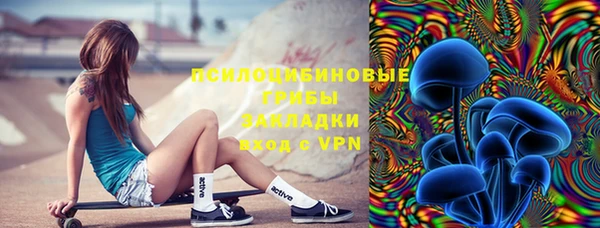 ГАЛЛЮЦИНОГЕННЫЕ ГРИБЫ Балахна